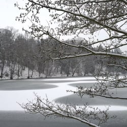 Průhonický park