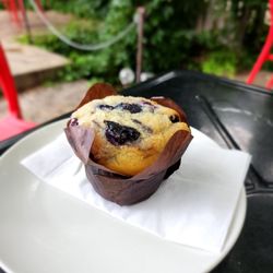 Anodyne Coffee Roasting Co - Blueberry muffin