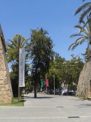 Es Baluard Museu d'Art Contemporani de Palma by null