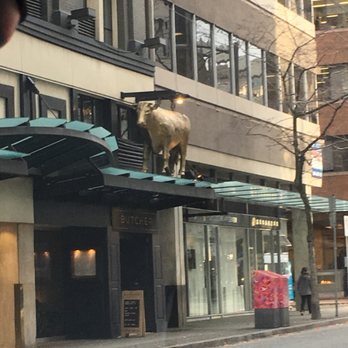 Vancouver Chinatown - Local Flavor Near Me - Vancouver, British Columbia