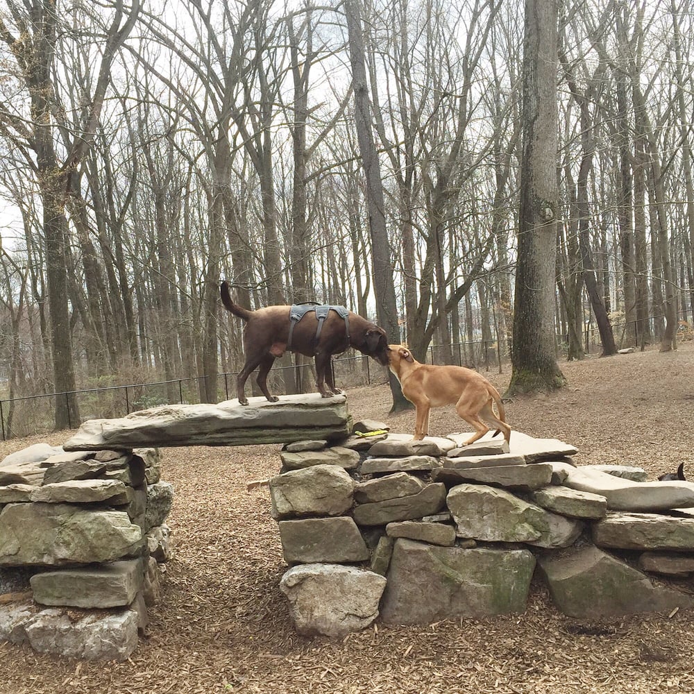 Cabin John Dog Park 2019 All You Need To Know Before You Go