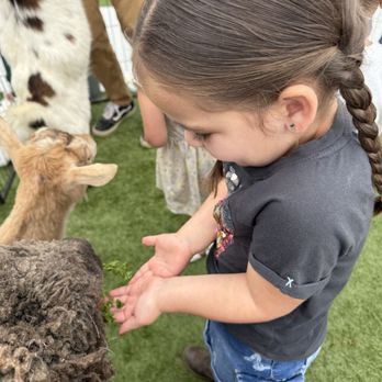 Lil Roarers Learning Center - Petting zoo day! - Child Care & Day Care Near Me - Winchester, California Lil Roarers Learning Center - Petting zoo day! - Child Care & Day Care Near Me - Winchester, California