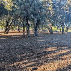 Dog Leg Woods