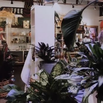 Artifacts and Artichokes - Inside of the shop - Gift Shops Near Me - San Diego, California