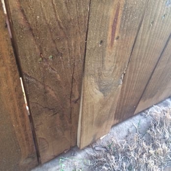 M & L Fence - warped boards.. - Fences & Gates Near Me - Fort Worth, Texas M & L Fence - warped boards.. - Fences & Gates Near Me - Fort Worth, Texas