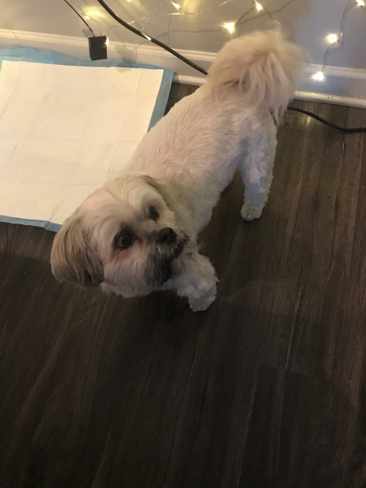 KETTERING ANIMAL HOSPITAL Updated October 2024 21 Reviews 1600 Delco Park Dr, Kettering