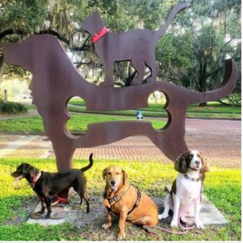 The Dirty Dog - Not my picture, but I have always loved it! From an 'ol acquaintance's feed #facebook - Pet Training Near Me - Winter Park, Florida The Dirty Dog - Not my picture, but I have always loved it! From an 'ol acquaintance's feed #facebook - Pet Training Near Me - Winter Park, Florida