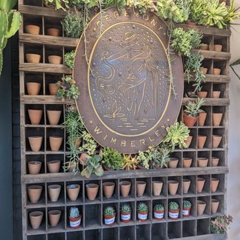 Ceremony Botanical Studio - Beautiful plant wall. - Nurseries & Gardening Near Me - Wimberley, Texas Ceremony Botanical Studio - Beautiful plant wall. - Nurseries & Gardening Near Me - Wimberley, Texas