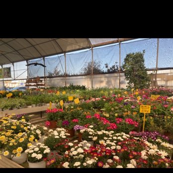 Jardines Campos - Nurseries & Gardening Near Me - Vera, Alabama