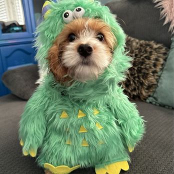 Pet Ranch - Pet Stores Near Me - Thornton, Colorado