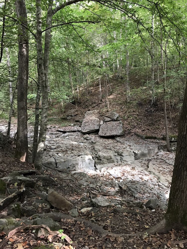 Lost Valley Recreation Area 38 Photos Parks Ar Hwy 43, Ponca, AR