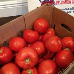 Jw Johnson Tomato - Box of vine ripe tomatoes