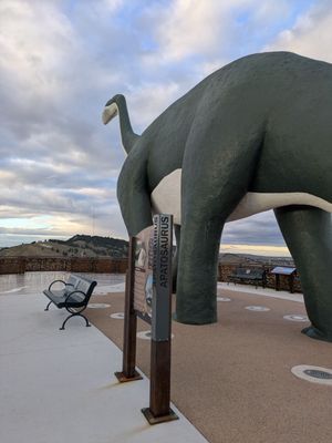 Dinosaur Park by null