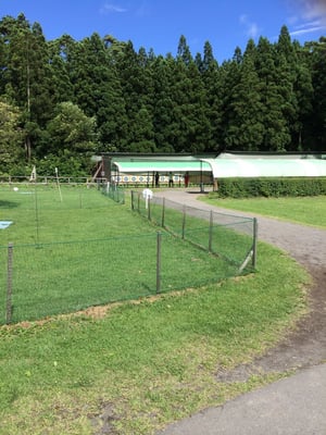 Koiwai Farm by null
