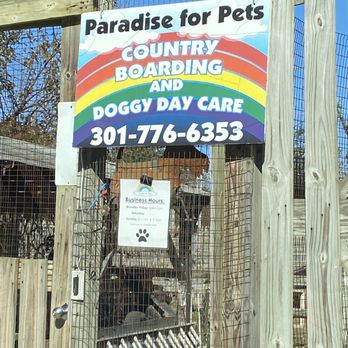 Paradise for Pets - Our dog loves it here! - Pet Boarding Near Me - Beltsville, Maryland Paradise for Pets - Our dog loves it here! - Pet Boarding Near Me - Beltsville, Maryland