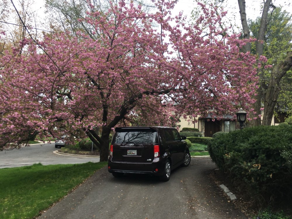 ANYTIME APPLIANCE SERVICE Updated October 2024 93 Reviews 31414