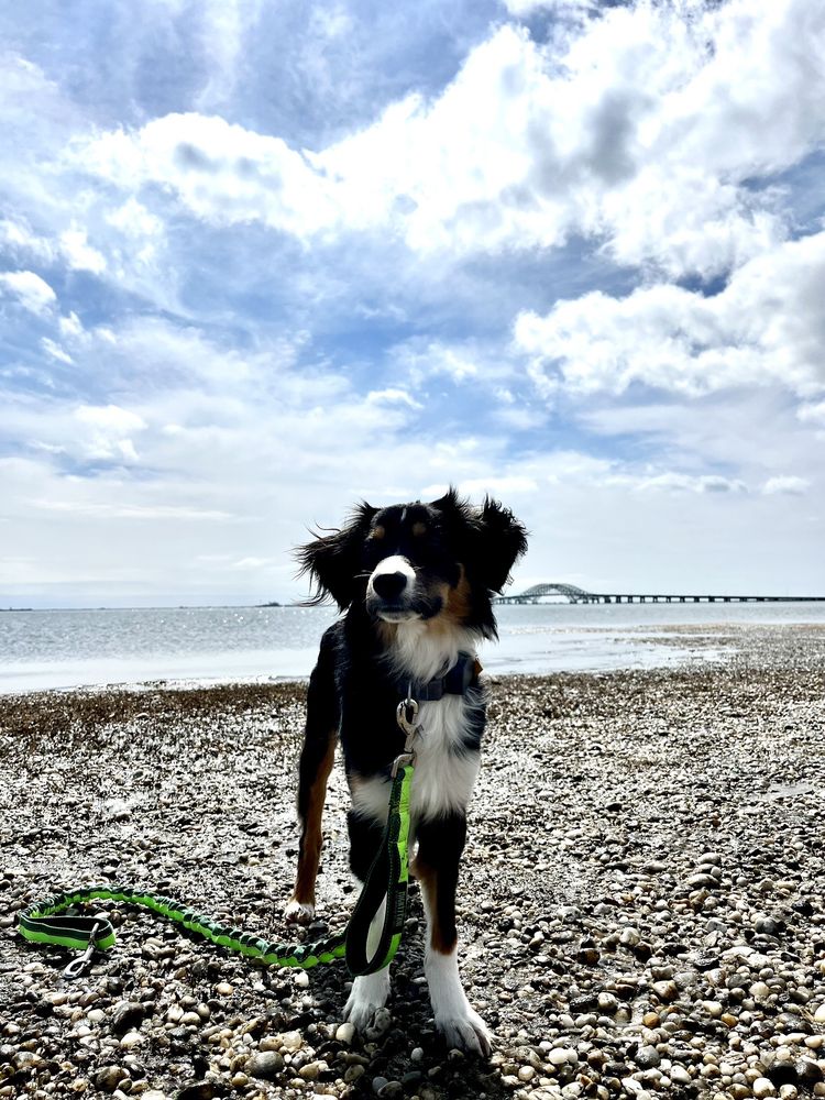 GARDINER COUNTY PARK Updated August 2024 123 Photos & 37 Reviews