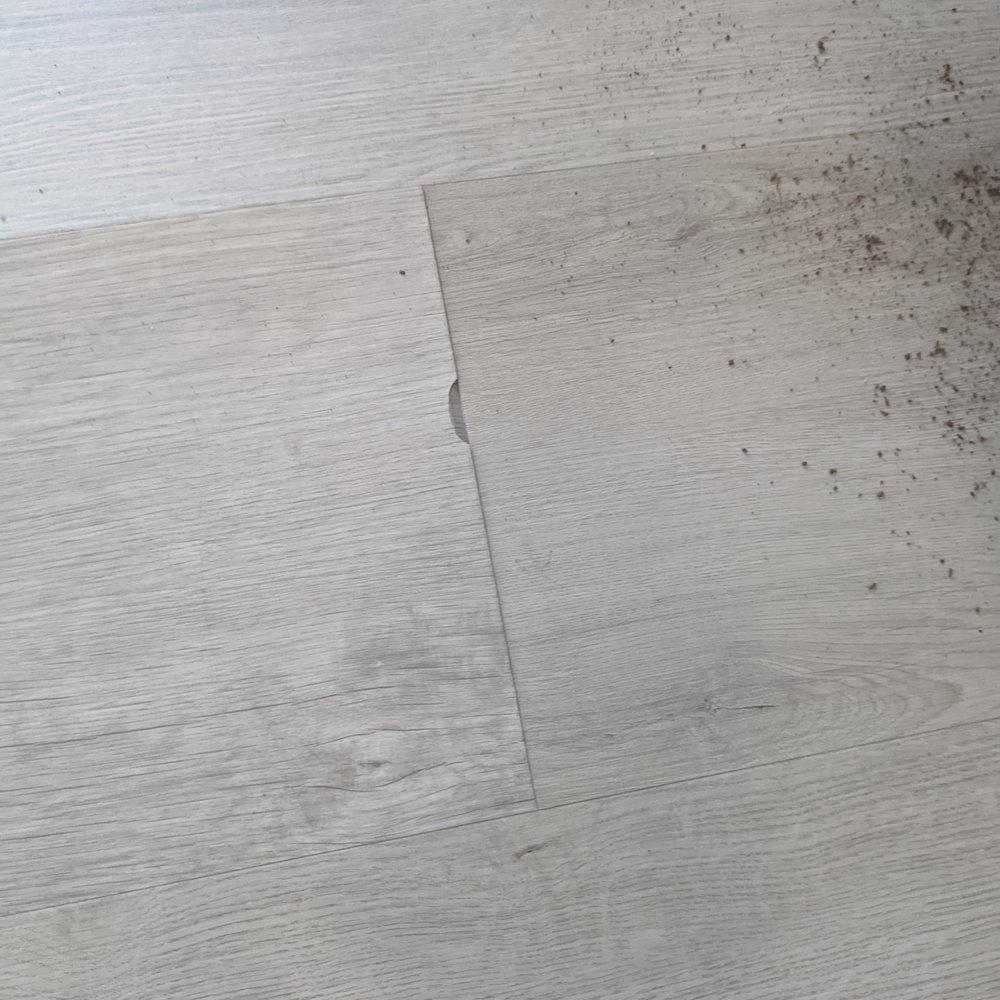 Wayco Construction - a close up of a wood floor with dirt on it - Flooring Near Me - El Cajon, California Wayco Construction - a close up of a wood floor with dirt on it - Flooring Near Me - El Cajon, California