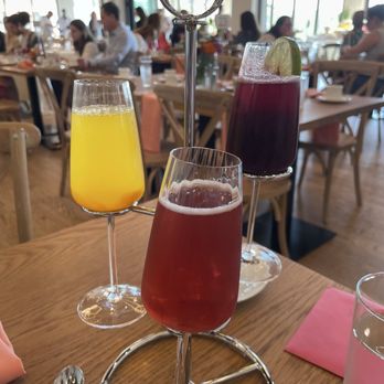 The Wilbur Mansion - Mimosa flight - Venues & Event Spaces Near Me - Bethlehem, Pennsylvania The Wilbur Mansion - Mimosa flight - Venues & Event Spaces Near Me - Bethlehem, Pennsylvania
