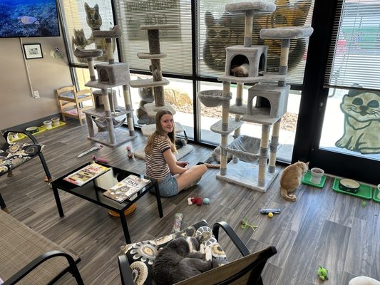 Rescued Treasures Cat Cafe by PALnv by null