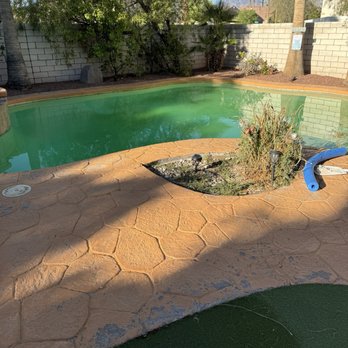 Mr. Pool - This is the day after he came to service. - Pool Cleaners Near Me Mr. Pool - This is the day after he came to service. - Pool Cleaners Near Me