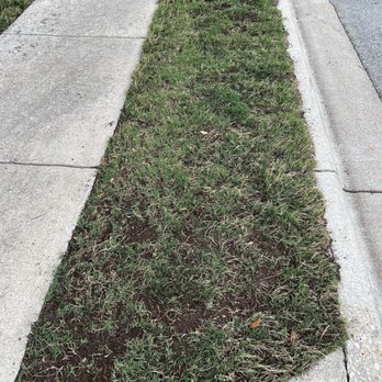 Real Green Pest and Lawn - Pest Control Near Me - Austin, Texas