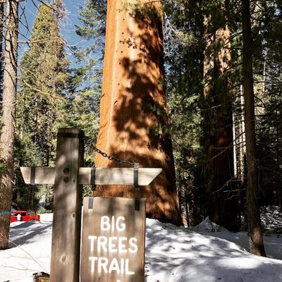 Sequoia National Forest by null