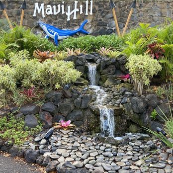 Aston Maui Hill - Welcome - Resorts Near Me - Kihei, Hawaii Aston Maui Hill - Welcome - Resorts Near Me - Kihei, Hawaii