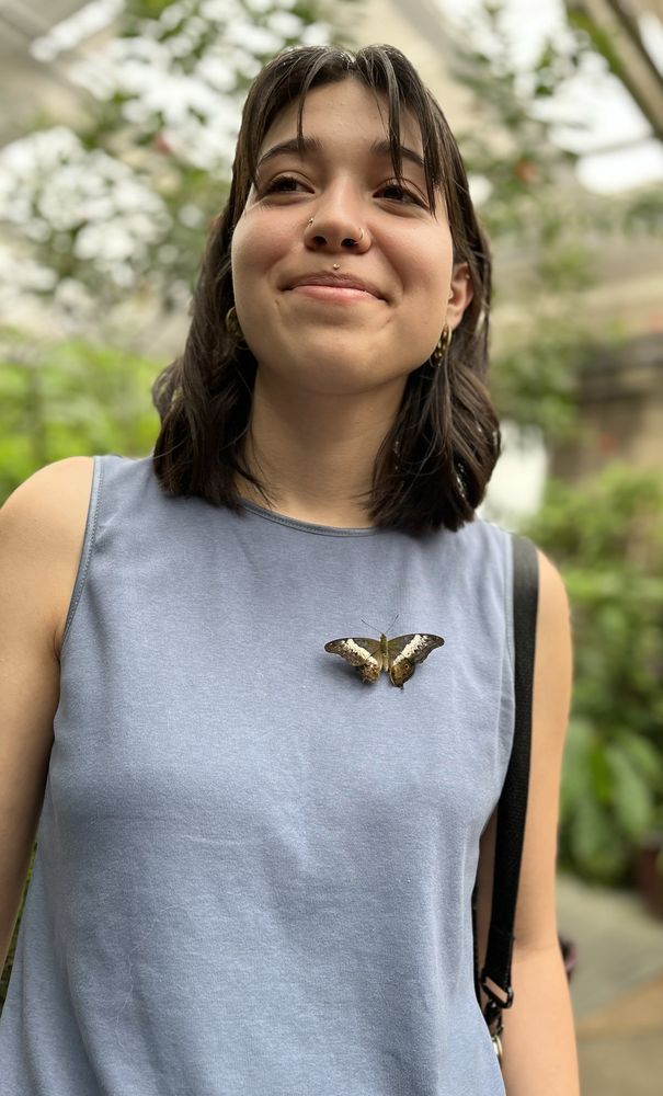 Butterfly Pavilion