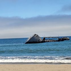 SS Palo Alto Cement Ship - View of ship (June 2026)