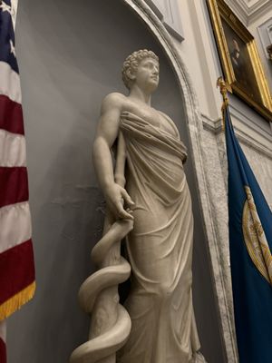 The Mütter Museum at The College of Physicians of Philadelphia by null