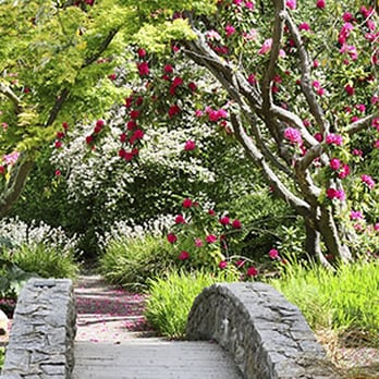 Springwood Gardens Landscape - Landscaping Near Me