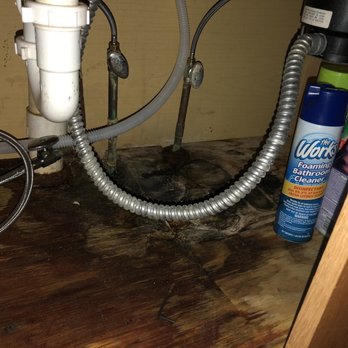 American Homes 4 rent - Underneath the sink when I first moved in. - Property Management Near Me - Indianapolis, Indiana
