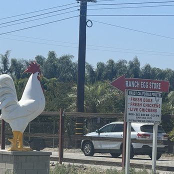 Ranch Egg store - The beginning! - Specialty Food Near Me - Chino, California Ranch Egg store - The beginning! - Specialty Food Near Me - Chino, California