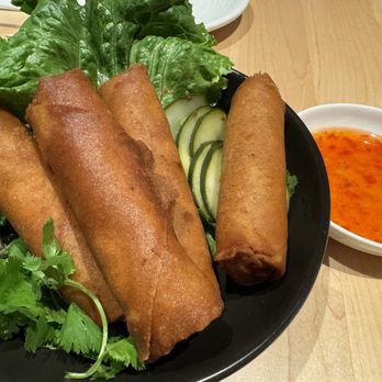 LUA Asian Fusion Eatery - Crispy Egg Rolls - Asian Fusion Near Me - Dana Point, California LUA Asian Fusion Eatery - Crispy Egg Rolls - Asian Fusion Near Me - Dana Point, California