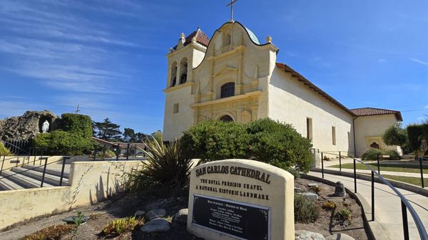 San Carlos Cathedral by null