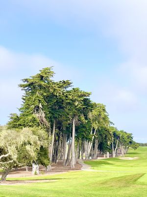 Bayonet & Black Horse by null