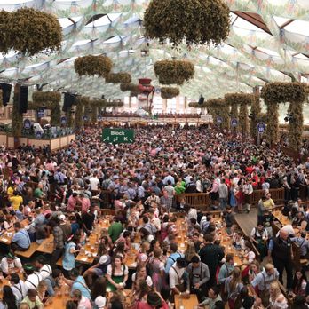 Travr - Hofbrau tent at Oktoberfest - Tours Near Me