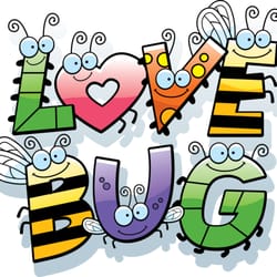 Love Bug