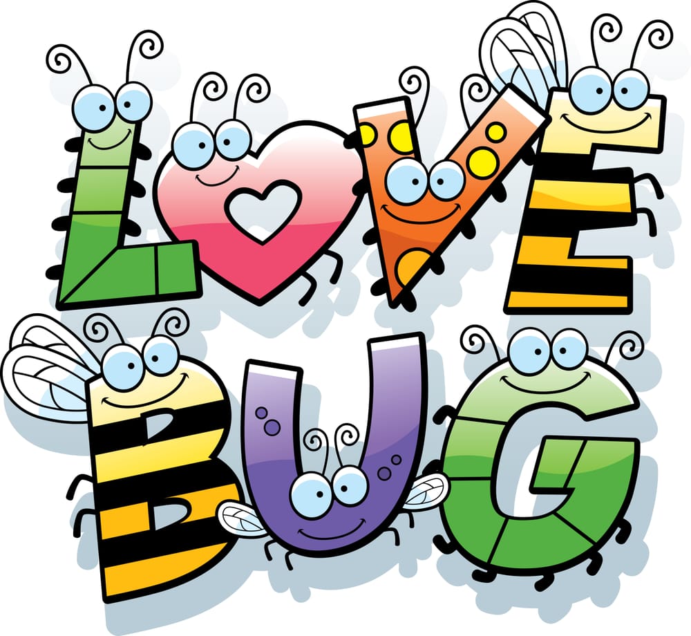 Love Bug Image