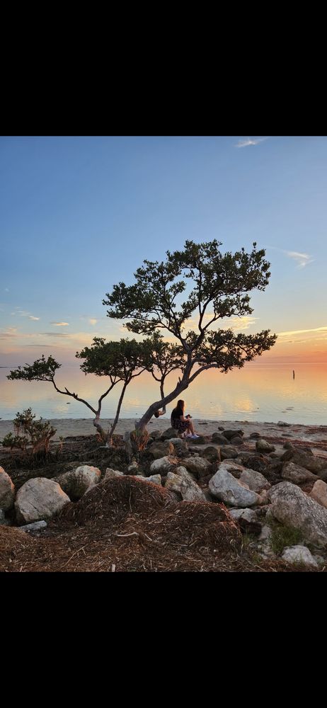 Beachside Behavioral Health - child therapist in St. Petersburg, FL
