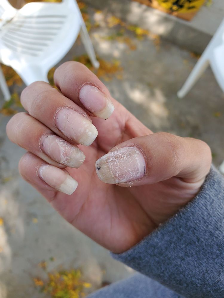 LAVISH NAILS & HAIR Updated September 2024 13 Reviews 1751 Hover