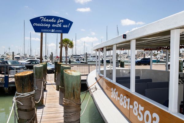 Harrison's Landing by null