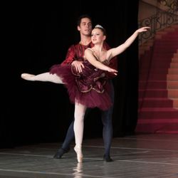 The Austin City Ballet