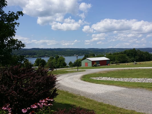 Rooster Hill Vineyards by null