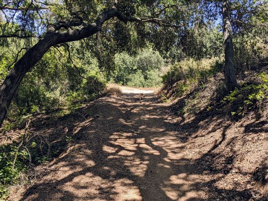 Marshall Canyon Regional Park by null