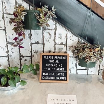 Semicolon Cafe - Cute plants - Coffee & Tea Near Me - Jersey City, New Jersey