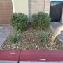 Landscape Design