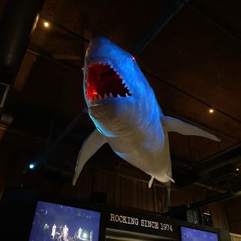Belly Up Tavern - Bars Near Me - Solana Beach, California