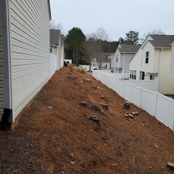 Salomon's Tree Service - After - Tree Services Near Me Salomon's Tree Service - After - Tree Services Near Me
